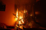 Innerhalb von 30 Sekunden steht ein Christbaum in Vollbrand!