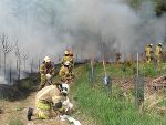 Foto 6. Waldbrand