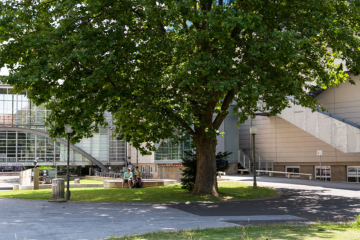 Ella-Flesch-Platz 