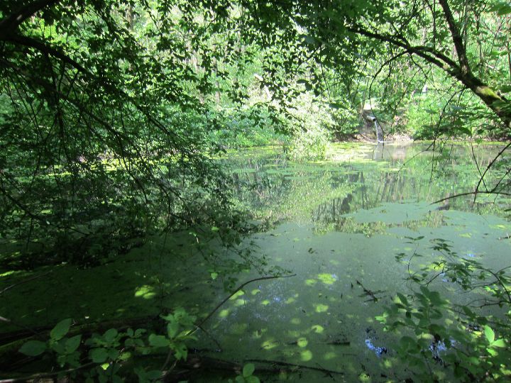 Bründlteiche