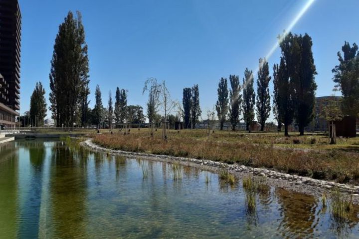 Reininghauspark